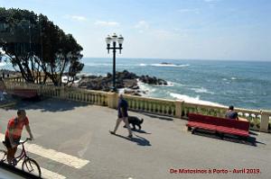 0772 - De Matosinhos a Porto